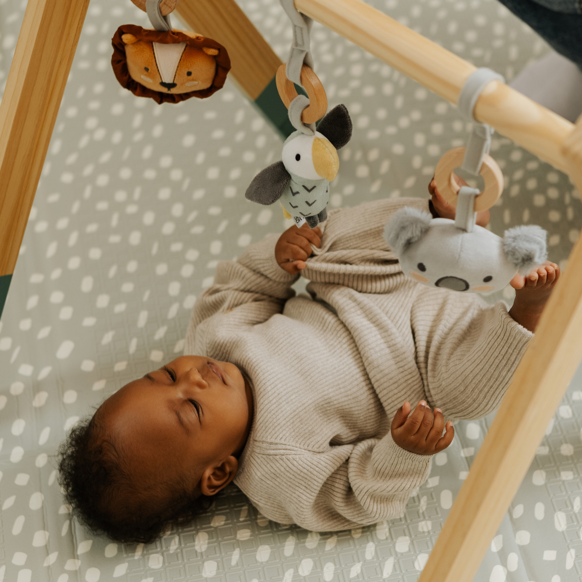 Wooden Play Gym
