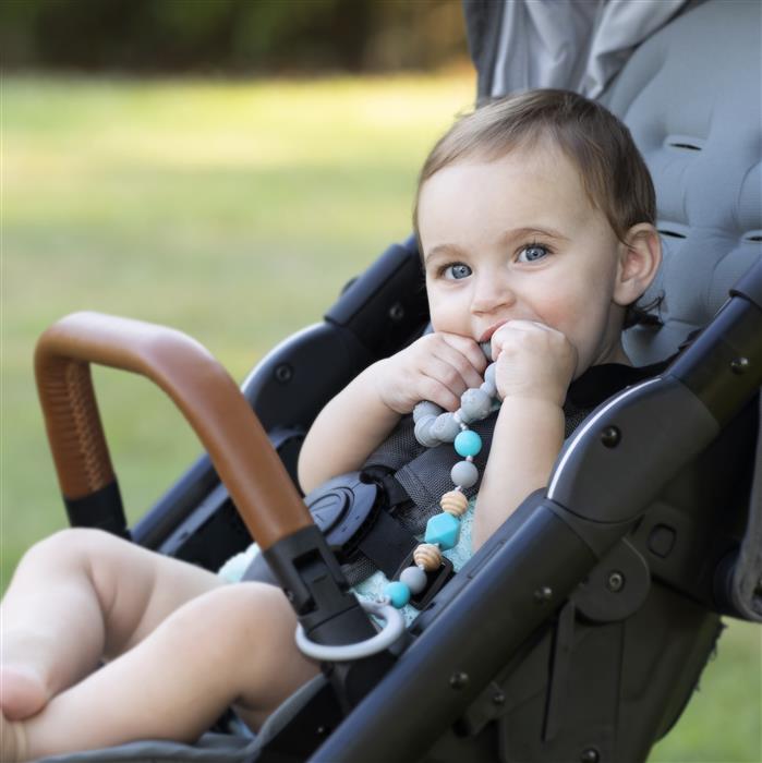 Tag-a-Long Teether